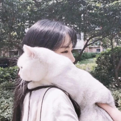 女生抱猫头像高清图片