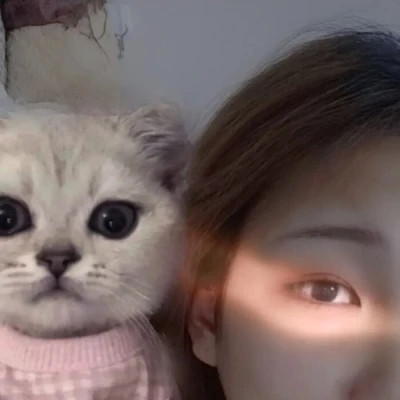 女生抱猫头像高清图片