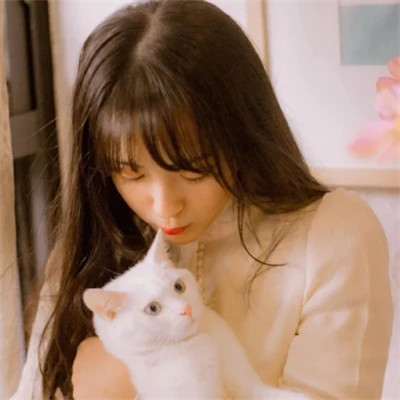 女生抱猫头像高清图片