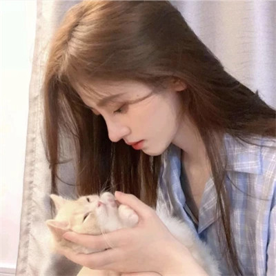 女生抱猫头像高清图片