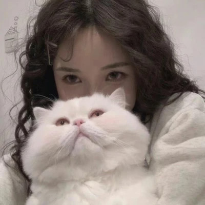 女生抱猫头像高清图片