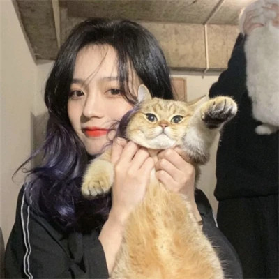 女生抱猫头像高清图片