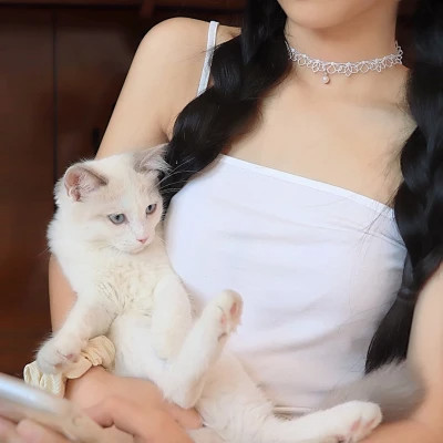 女生抱猫头像高清图片