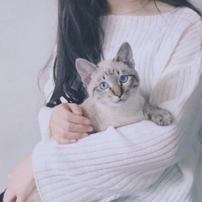 女生抱猫头像高清图片