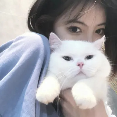 女生抱猫头像高清图片