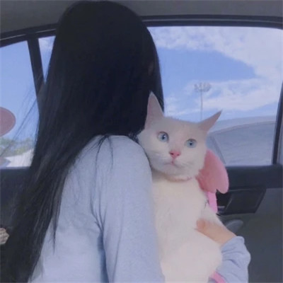 女生抱猫头像高清图片