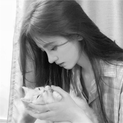 黑白系女生抱猫头像真人图片