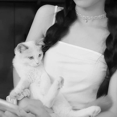 黑白系女生抱猫头像真人图片