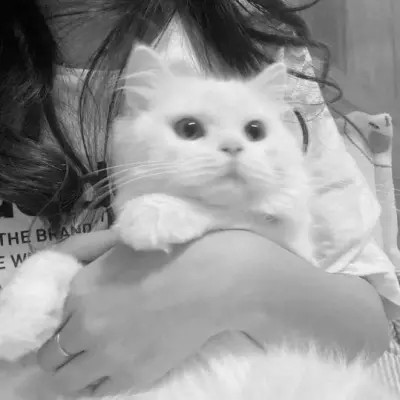 黑白系女生抱猫头像真人图片
