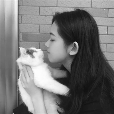 黑白系女生抱猫头像真人图片