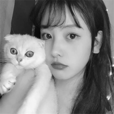 黑白系女生抱猫头像真人图片