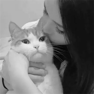 黑白系女生抱猫头像真人图片