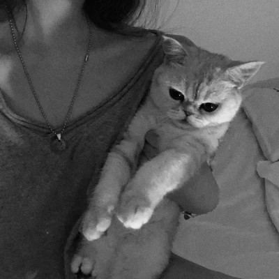 黑白系女生抱猫头像真人图片