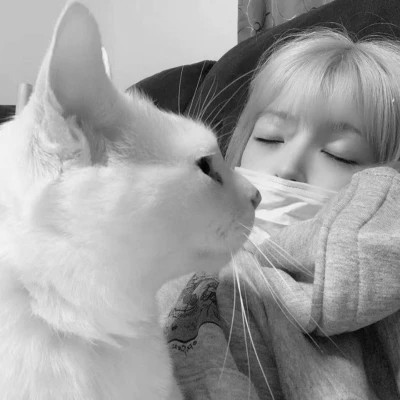 黑白系女生抱猫头像真人图片