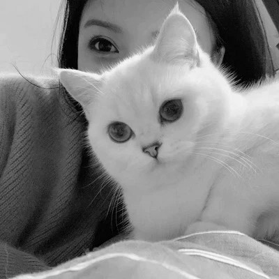 黑白系女生抱猫头像真人图片