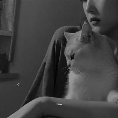 黑白系女生抱猫头像真人图片