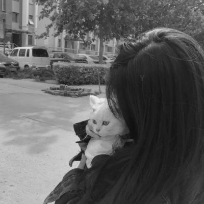 黑白系女生抱猫头像真人图片