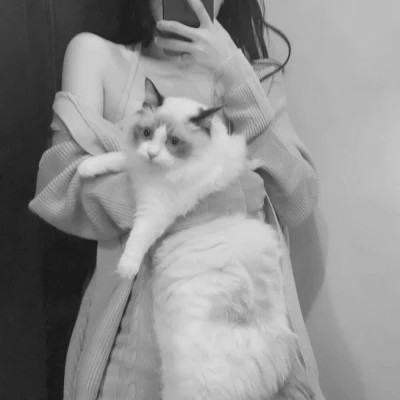 黑白系女生抱猫头像真人图片