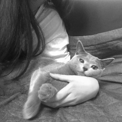 黑白系女生抱猫头像真人图片