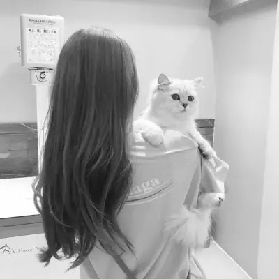 黑白系女生抱猫头像真人图片