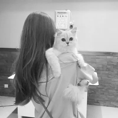 黑白系女生抱猫头像真人图片