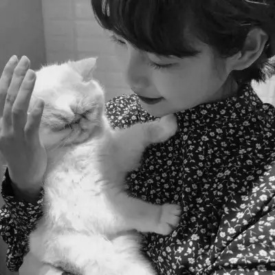黑白系女生抱猫头像真人图片