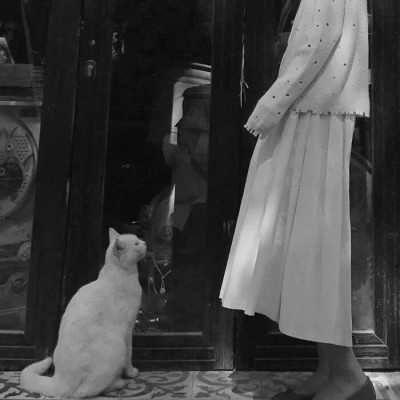 黑白系女生抱猫头像真人图片