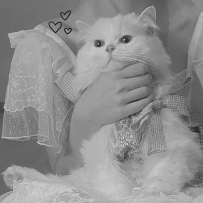 黑白系女生抱猫头像真人图片