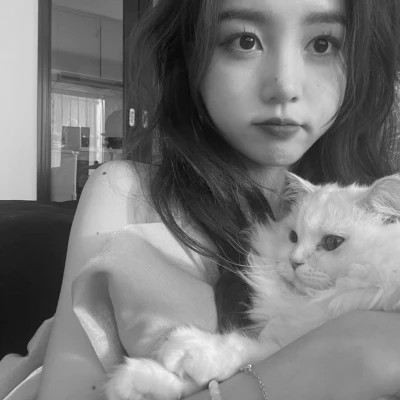 黑白系女生抱猫头像真人图片