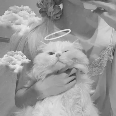 黑白系女生抱猫头像真人图片