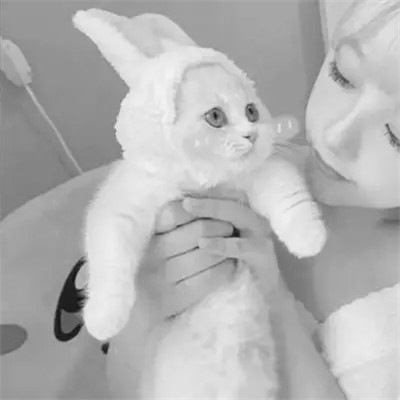 黑白系女生抱猫头像真人图片