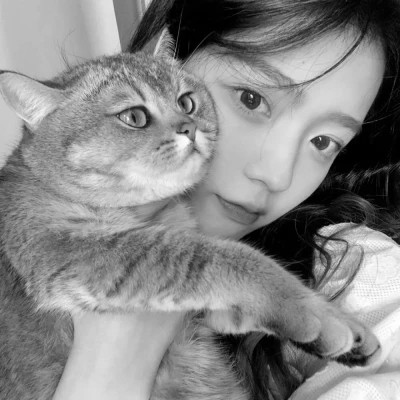 黑白系女生抱猫头像真人图片