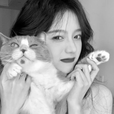黑白系女生抱猫头像真人图片