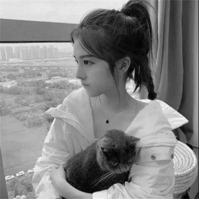 黑白系女生抱猫头像真人图片