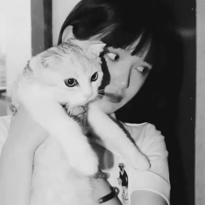 黑白系女生抱猫头像真人图片