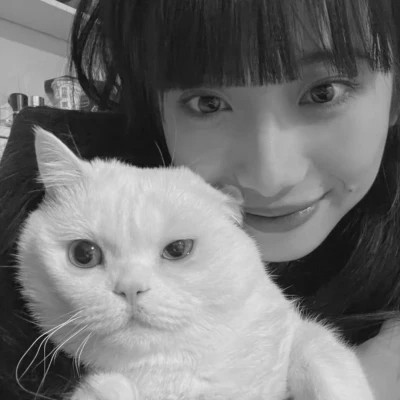 黑白系女生抱猫头像真人图片