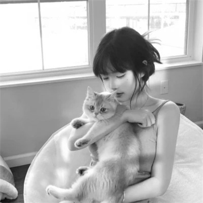 黑白系女生抱猫头像真人图片