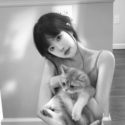 黑白系女生抱猫头像真人图片