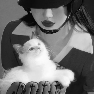 黑白系女生抱猫头像真人图片