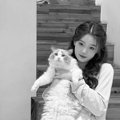 黑白系女生抱猫头像真人图片