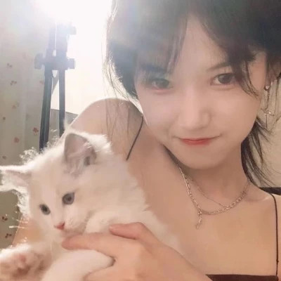 2025最新抱猫女头像好看图片