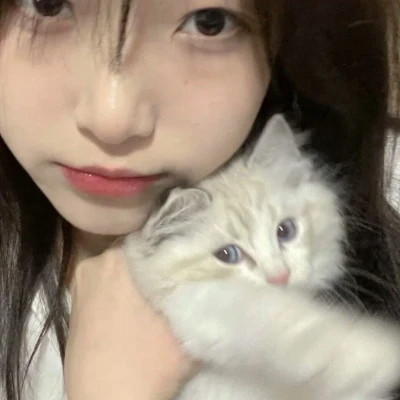 2025最新抱猫女头像好看图片