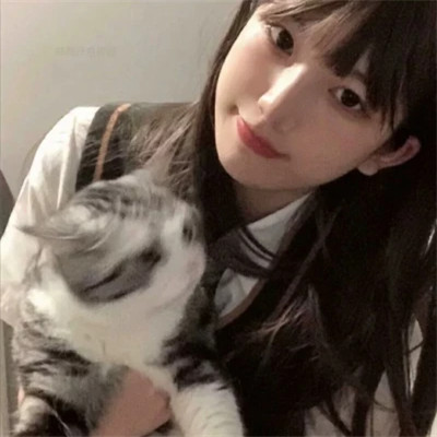 2025最新抱猫女头像好看图片
