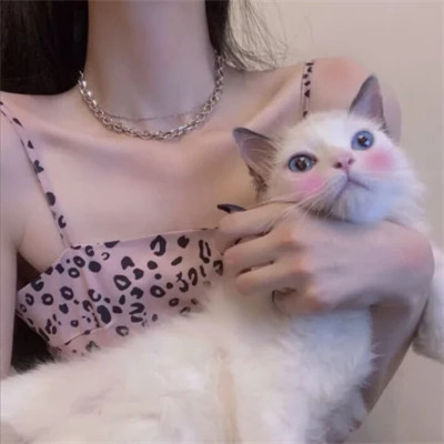 2025最新抱猫女头像好看图片