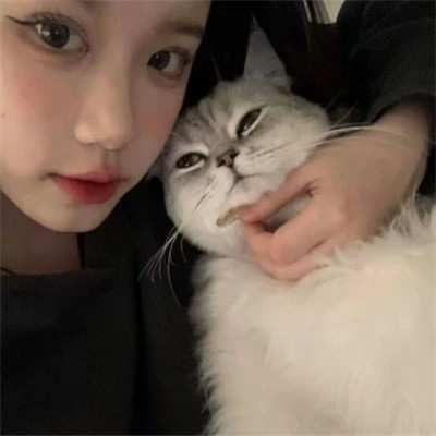 2025最新抱猫女头像好看图片