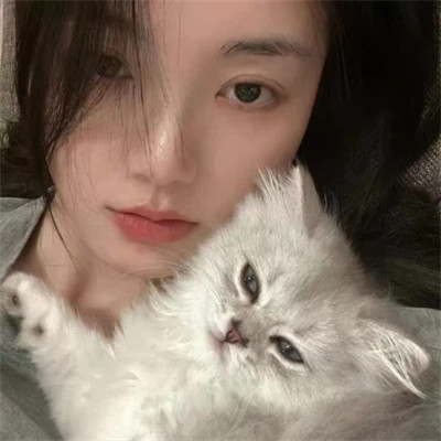 2025最新抱猫女头像好看图片