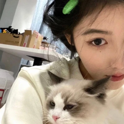 2025最新抱猫女头像好看图片