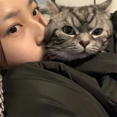 2025最新抱猫女头像好看图片