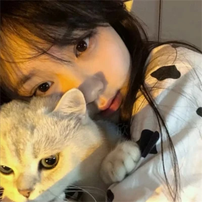 2025最新抱猫女头像好看图片