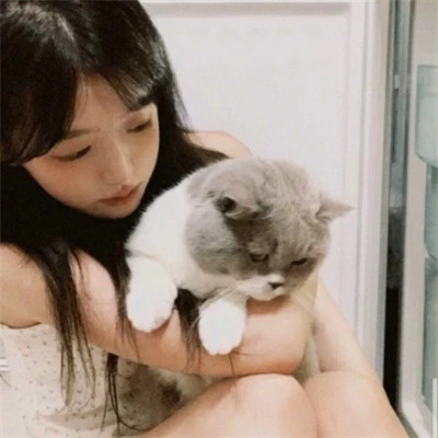 2025最新抱猫女头像好看图片
